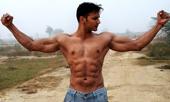 muscle mass